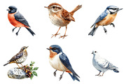 Scandinavian Birds Clipart, an Illustration by Watercolor design (Thumbnail 3 of 5)