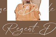 Radiance Berlines, a Script Font by operatype.co (Thumbnail 5 of 15)