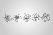 50 Tropical Designs (Vector), an Object Graphic by BIOWORKZ (Thumbnail 5 of 5)