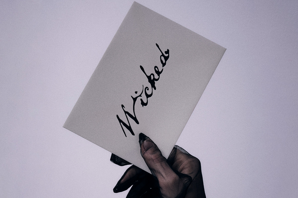 Black Milk: Decorative Ink Script, a Script Font by Mneme (Photo 10 of 11)