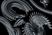 Chrome Elements - 3D Abstract Shapes, a Graphic by saintricchi (Thumbnail 2 of 8)