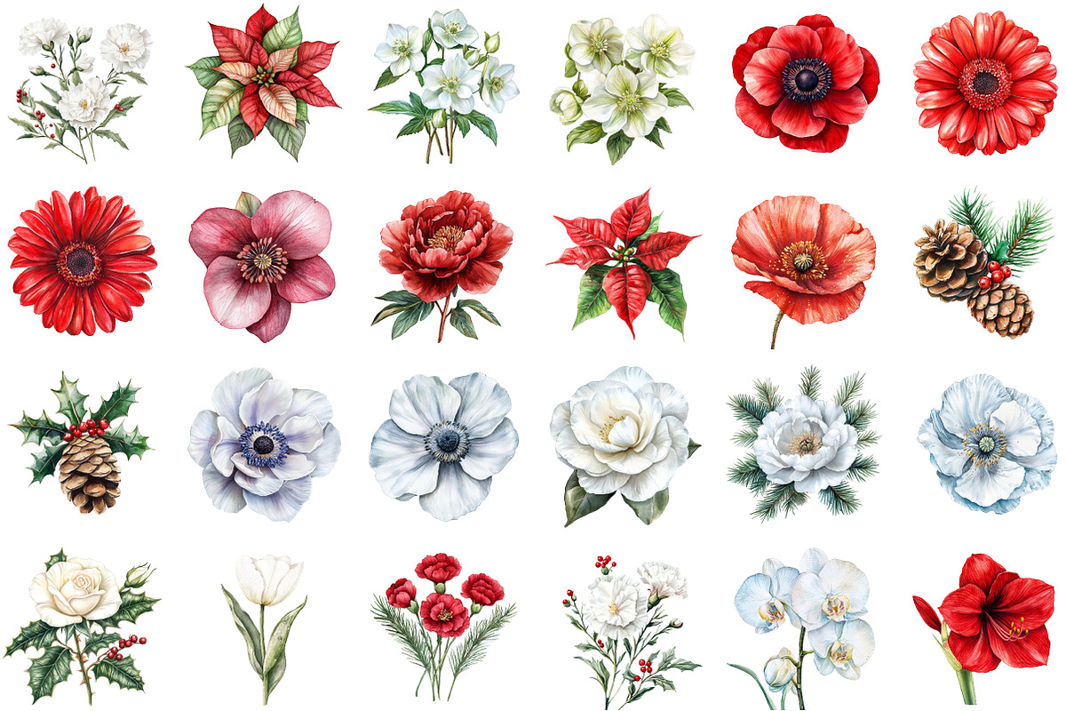 Watercolor Christmas Flowers Clipart, an Illustration by Sublimation Artist (Photo 2 of 6)
