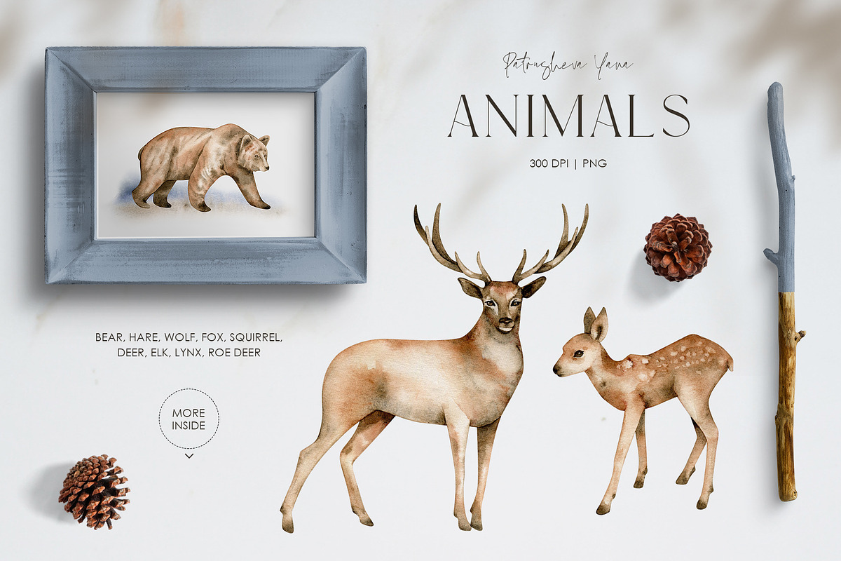 FOREST - Watercolor Collection, an Animal Illustration by PatrushevaYana (Photo 2 of 8)