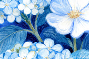 Serene Blue Hydrangea, a Decorative Illustration by yahu88studio (Thumbnail 2 of 3)