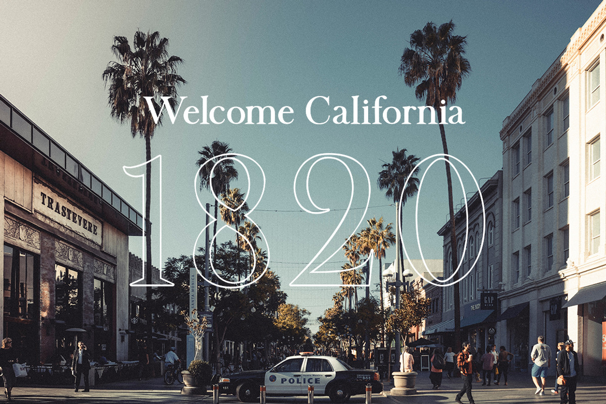 Sophia Serif | Family Font, a Serif Font by Bosstype Studio (Photo 8 of 12)