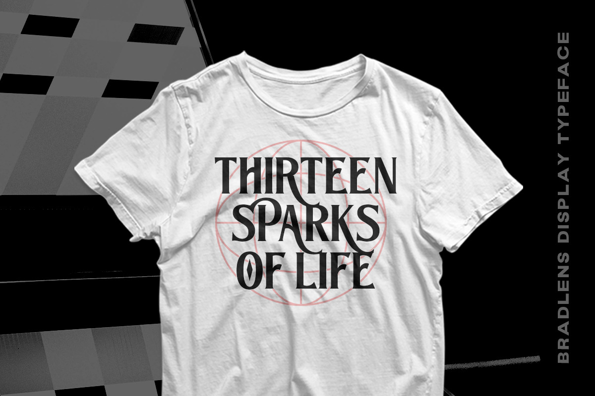 The Bradlens - Modern Display Font, a Serif Font by Letterhend Studio (Photo 8 of 9)