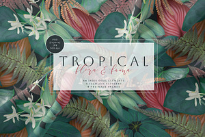 Tropical Patterns And Frames