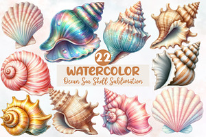 Ocean Sea Shell Sublimation Clipart, an Illustration by Designworld