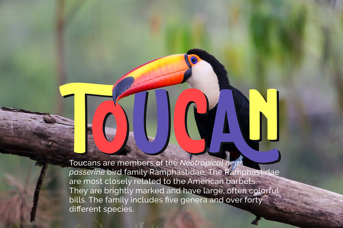 The Fountain of Wishes, a Font by NimaType (Photo 2 of 6)