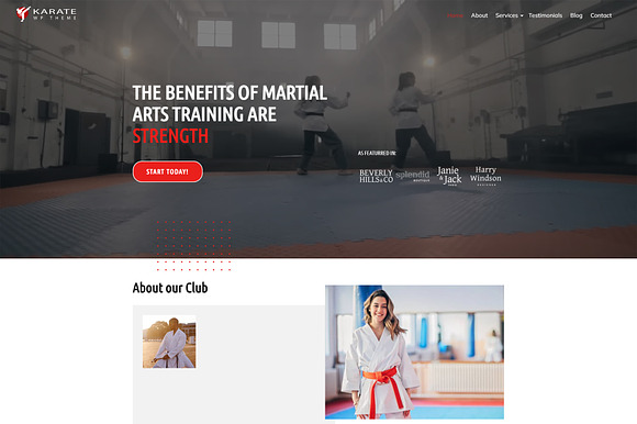 Karate WordPress Theme preview 7