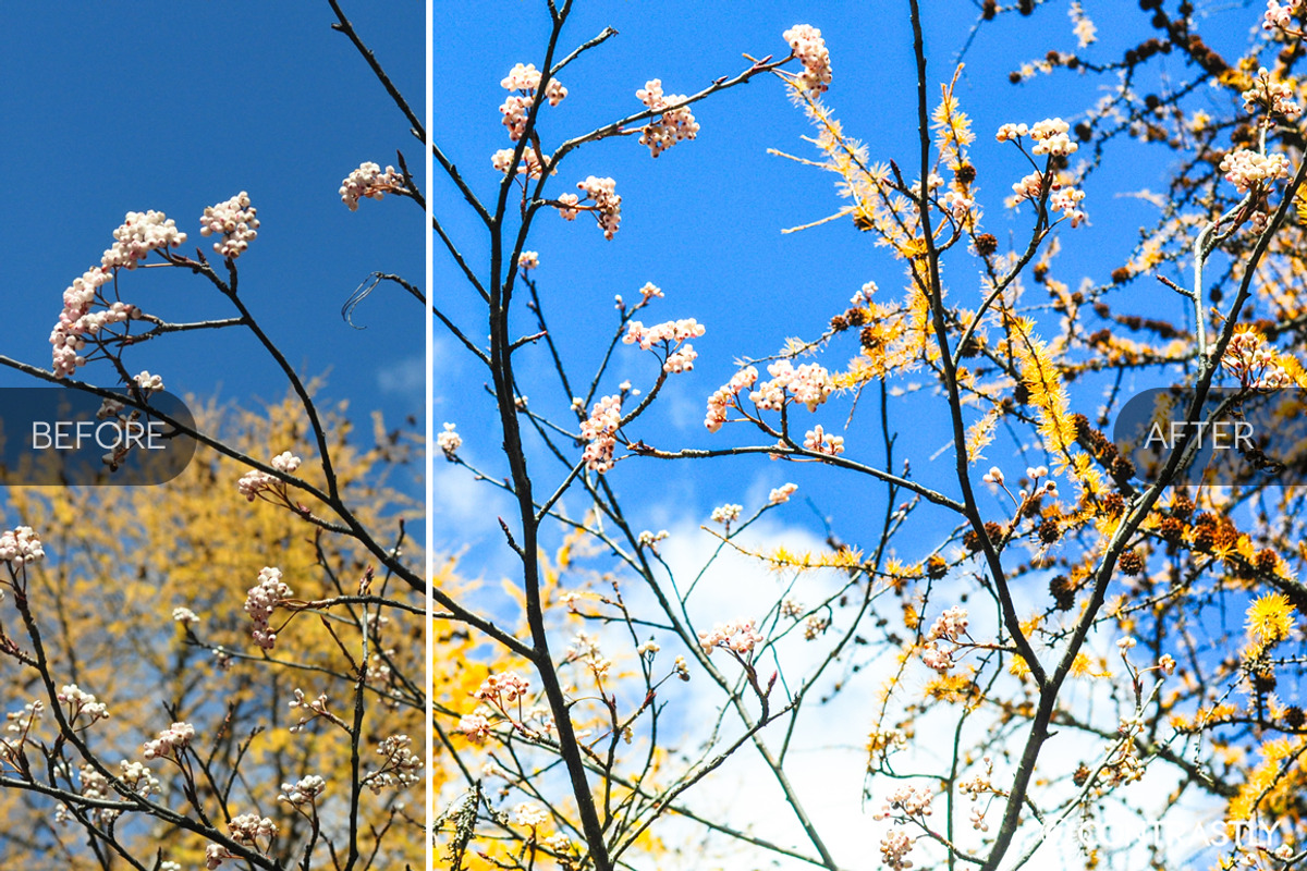 Contrast Adjust Lightroom Presets, a Plug-in Add-On by Contrastly Shop (Photo 5 of 5)