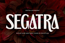 Segatra - Elegant Display Serif Font