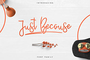 Massive Font Bundle - 197 fonts, a Script Font by VP Fonts (Thumbnail 26 of 55)
