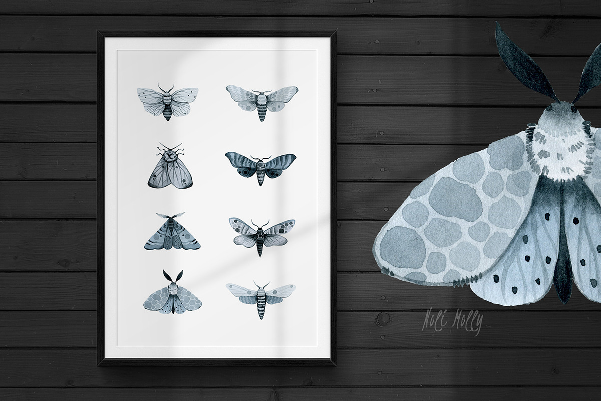 Moths. Watercolor set., an Illustration by Noli Molly Store (Photo 7 of 8)