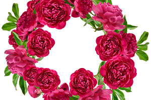 Round wreath of bright pink blossoming peonies and green leaves, a Nature Photo by ndanko