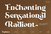 Enphera, a Serif Font by Aluyeah Studio (Thumbnail 4 of 15)