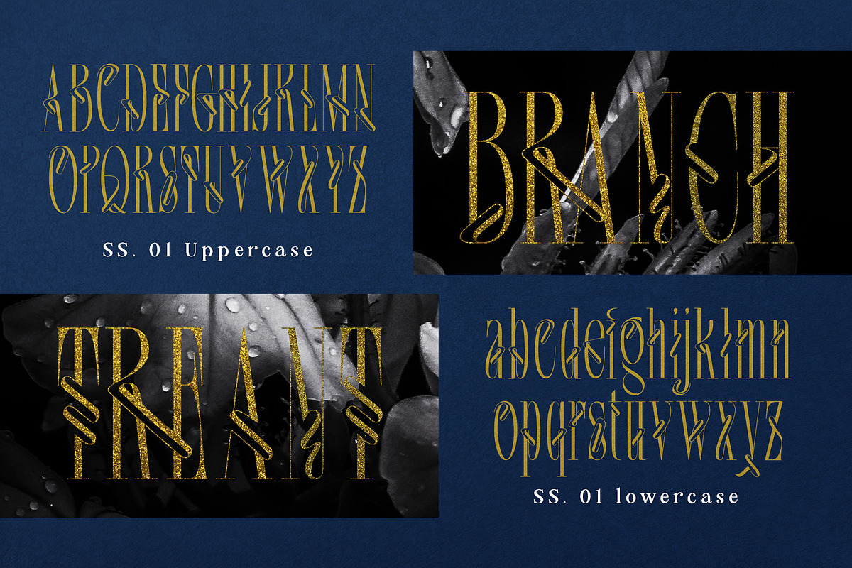 Srolemo Typeface, a Serif Font by alit design (Photo 10 of 17)