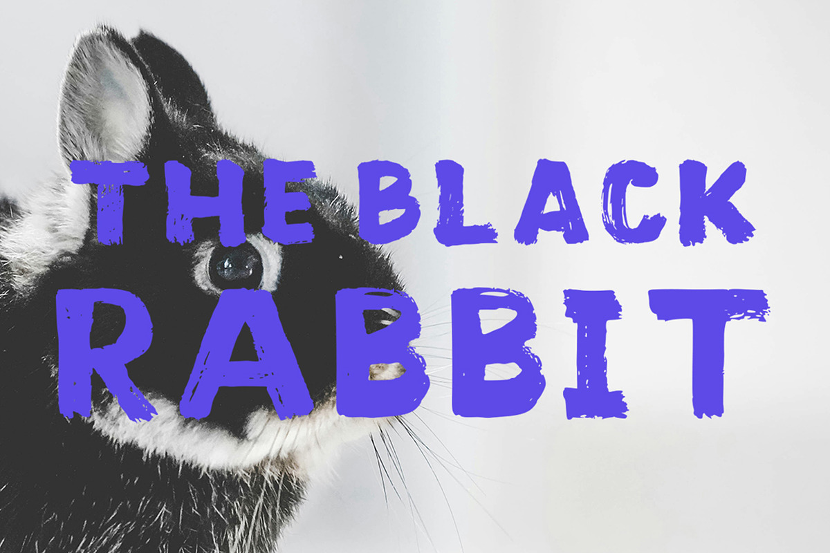 Wild Sheep, a Script Font by Stripes Studio (Photo 4 of 7)
