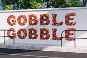 Turkey Feather 3D Font, a Font by Loudoun Design Co. (Thumbnail 3 of 6)