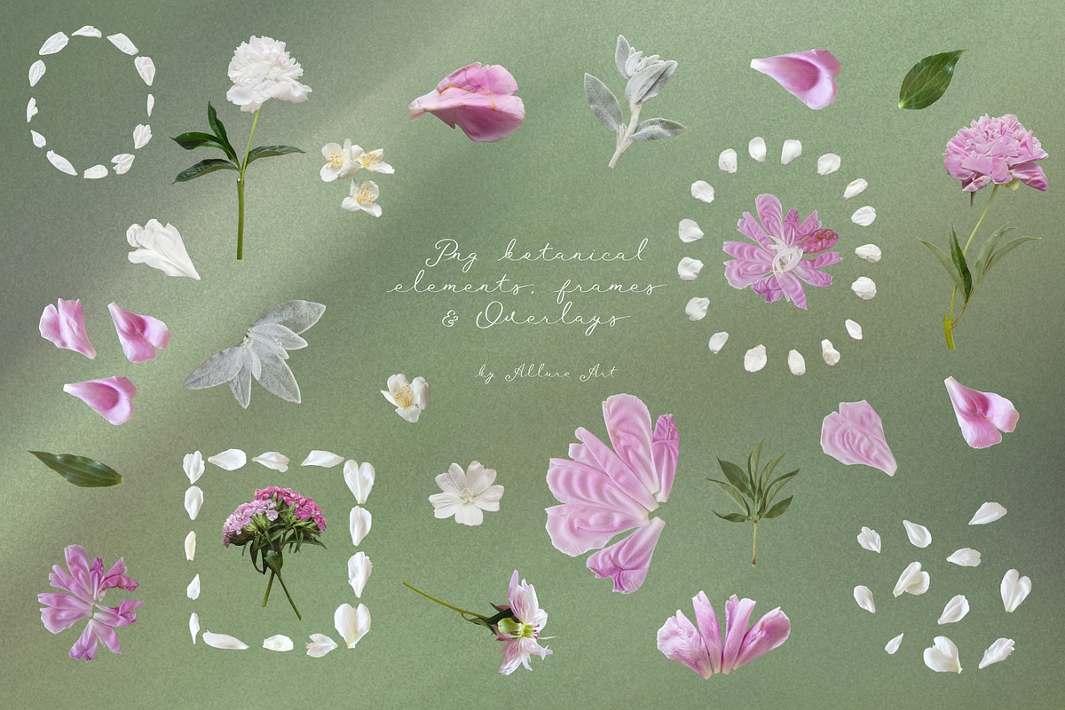 Petals Botanical Overlay Kit & Paper, an Object Graphic by Allure Art (Photo 5 of 22)