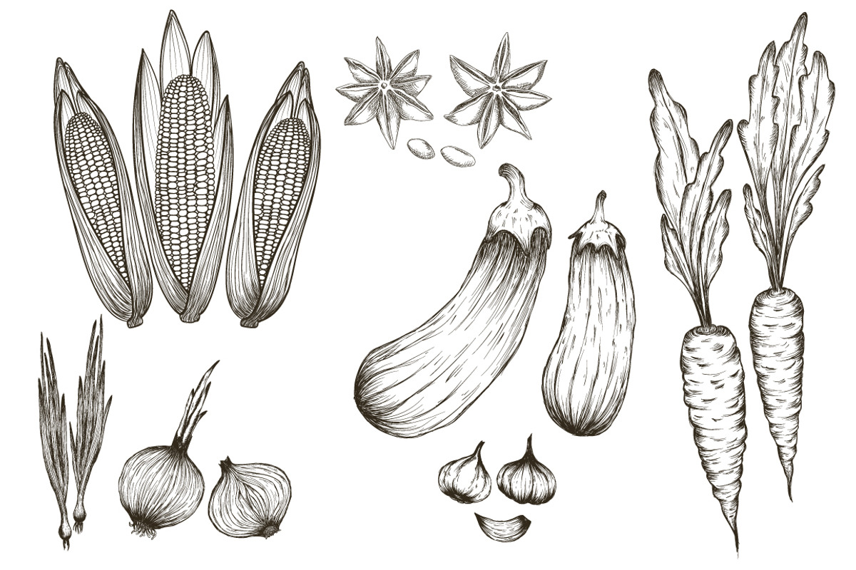 hand drawn vegetables vector set, a Food Illustration by Tierre3012 (Photo 2 of 2)