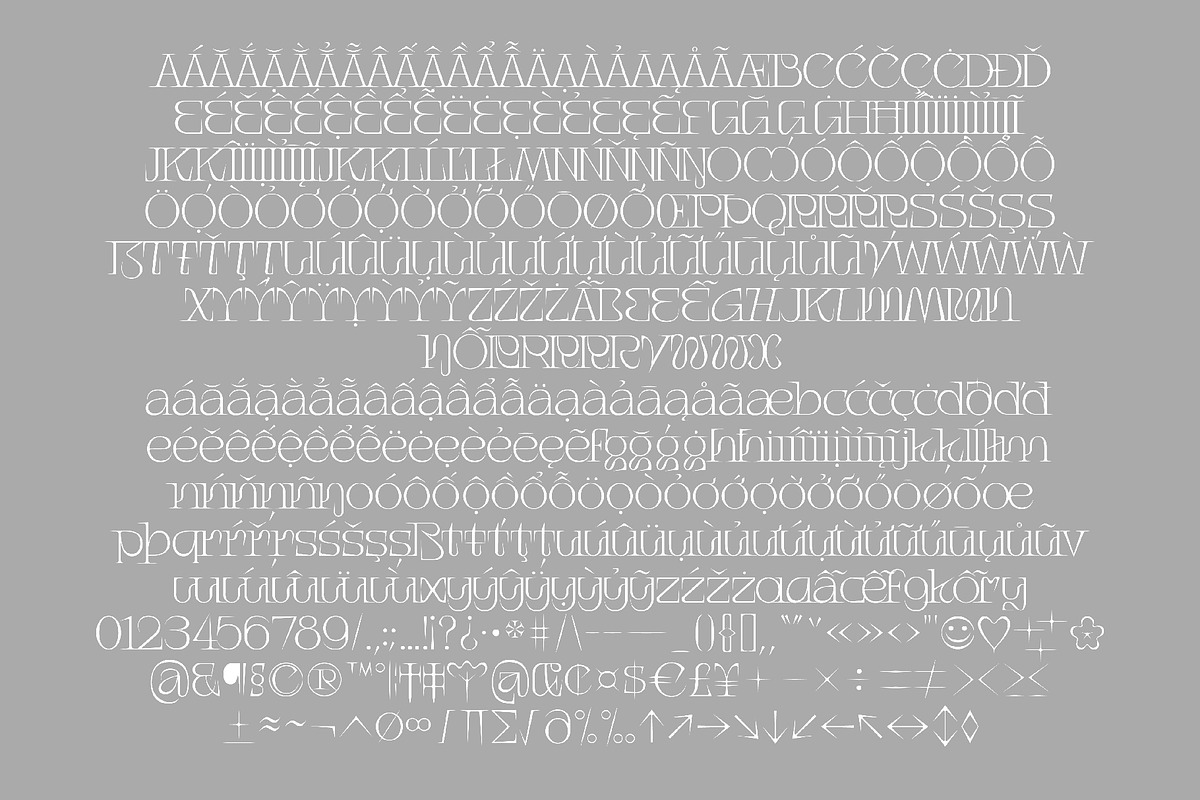 Iconique Serif Regular, a Serif Font by Nguyen Type (Photo 7 of 9)