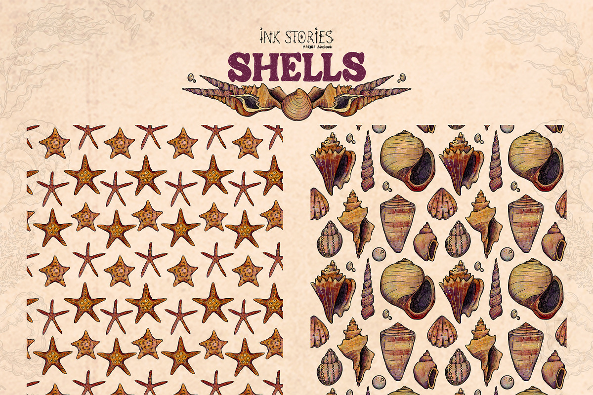 Shells, an Animal Illustration by Ink Stories (Photo 18 of 21)