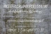 Another Wild Modern Brush Script, a Script Font by INKMETHIS (Thumbnail 2 of 7)