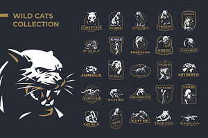 Collection of wild cats