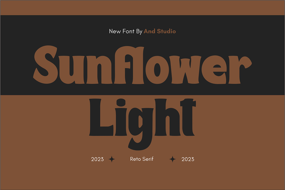 Sunflower Light, a Serif Font by And Studio (Photo 1 of 15)