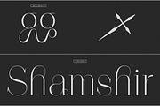 Polyglot Neue, a Serif Font by MJtypefoundry (Thumbnail 10 of 13)