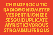 Stonehill, a Sans Serif Font by Great Scott! (Thumbnail 8 of 8)