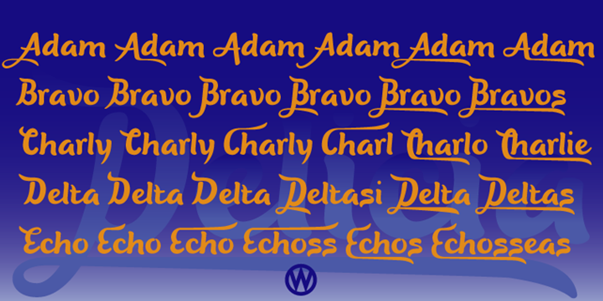 Delicia Pro, a Handwritten Font by Wiescher-Design (Photo 7 of 12)