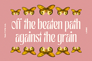 TAN - LIEBE, a Font by TanType (Thumbnail 7 of 12)