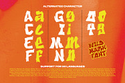 Wild Mark, a Script Font by Ditatype (Thumbnail 10 of 11)
