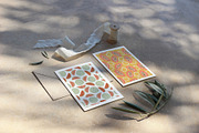 Abstract Juicy Summer Set, a Decorative Illustration by Tabita's shop (Thumbnail 4 of 14)
