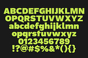 ZT Rayflo, a Sans Serif Font by zelow type (Thumbnail 13 of 15)