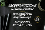 Hadelia Brush, a Handwritten Font by Fargun Studio (Thumbnail 2 of 11)