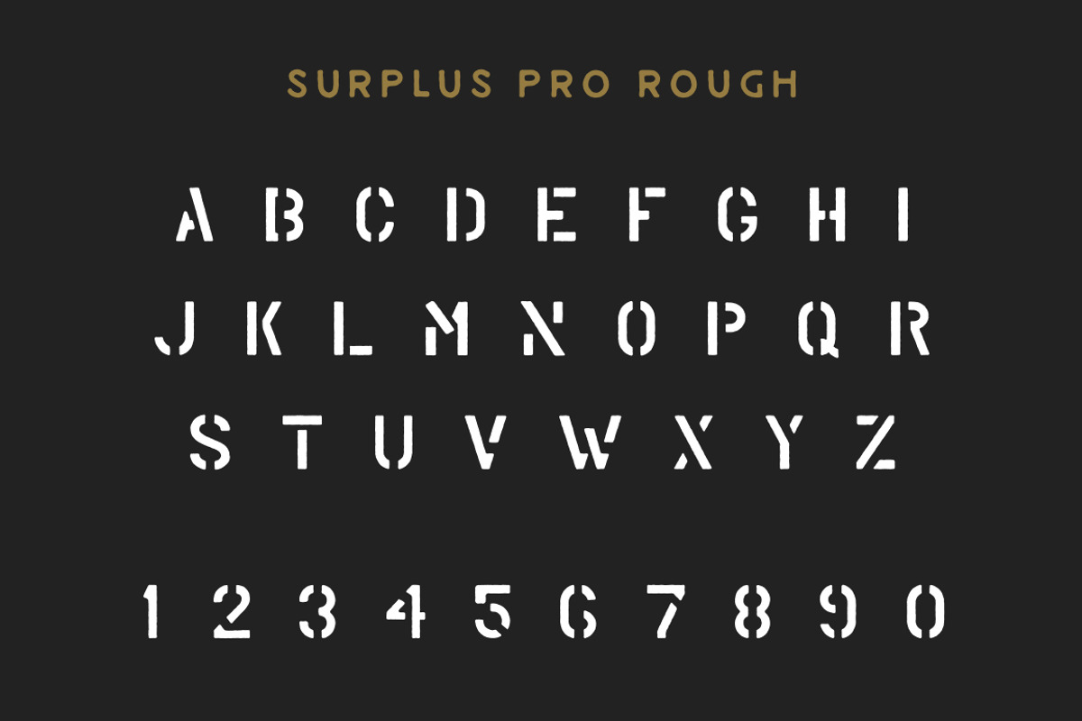 Surplus Pro - 2 Styles preview 3