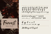 Forrest - Brush Font, a Script Font by Weape Studio (Thumbnail 10 of 10)