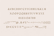 Kassan - Luxury Display Serif Font, a Serif Font by Studio Aurora (Thumbnail 4 of 11)