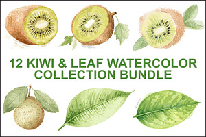12 Kiwi Fruit Clipart Set, an Illustration by hafijul