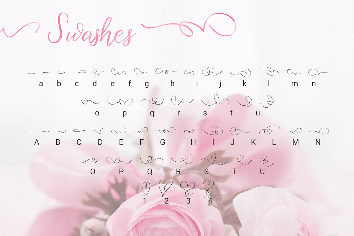 Birdy Roses | Script font + Swashes preview 8