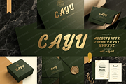 Cayu - Refined Modern Serif, a Serif Font by Astuti Studio (Thumbnail 23 of 23)