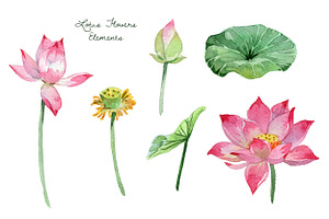 Watercolor Lotus Flowers And Leaves