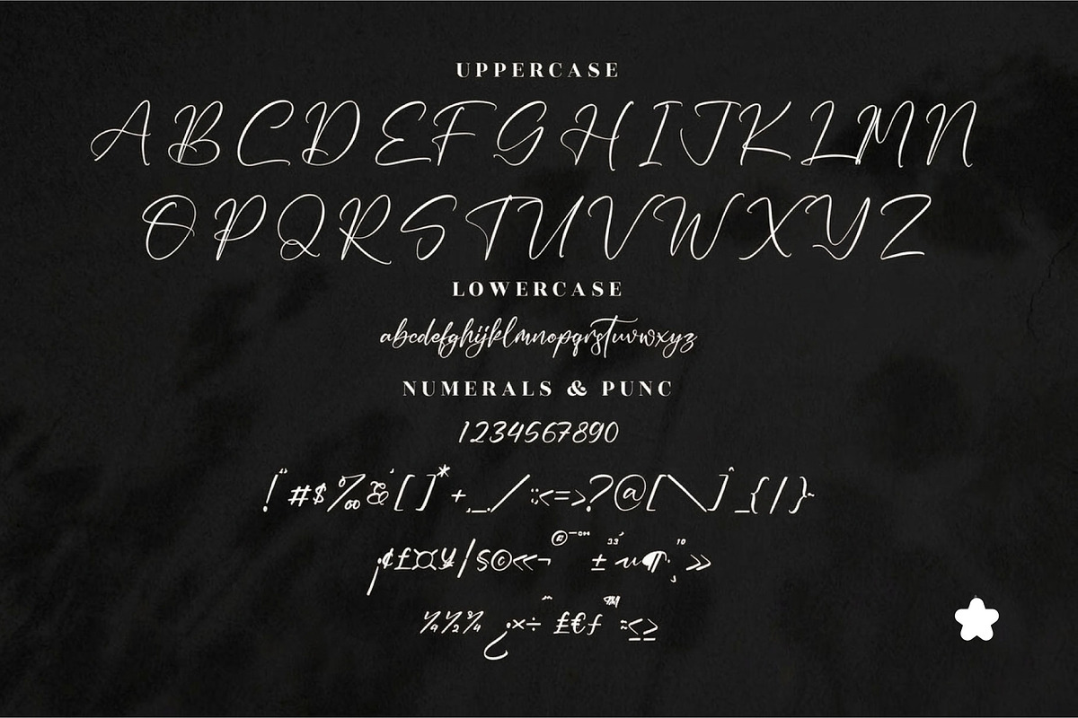 Castillica, a Handwritten Font by Design House (Photo 2 of 3)