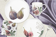 Botanical illustration of figs, a Graphic by RushkinaAntonina (Thumbnail 2 of 6)