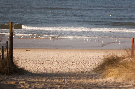 Beach featuring beauty, sea, and beach
