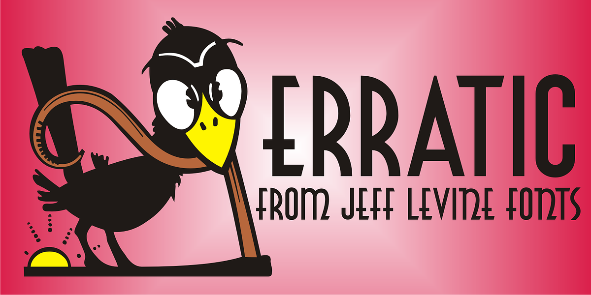 Erratic JNL, a Sans Serif Font by Jeff Levine Fonts