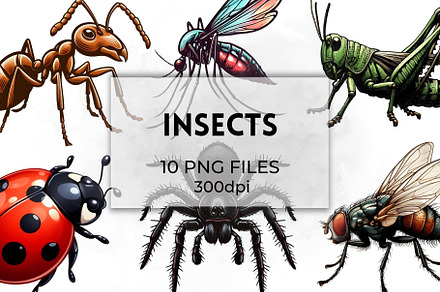 Insects Clipart Bugs Illustrations
